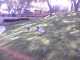 click for larger size