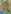 click for larger size